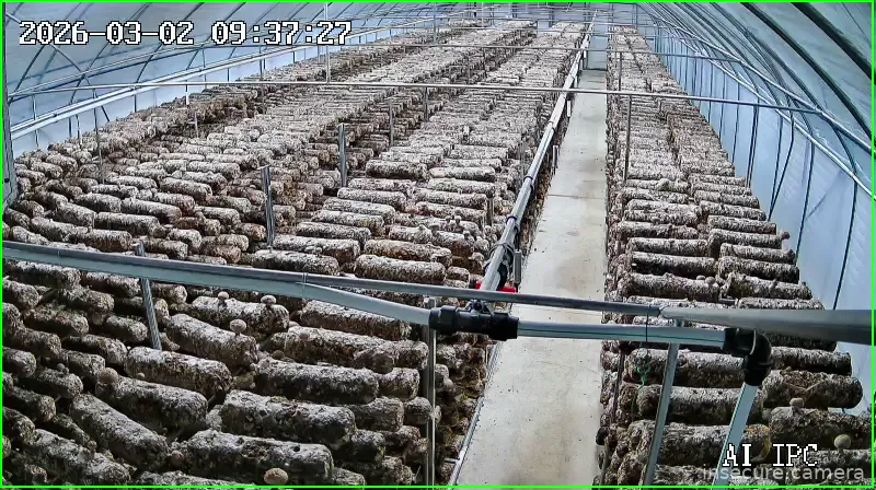 Capture from Mar 02, 2026 at 12:37 AM