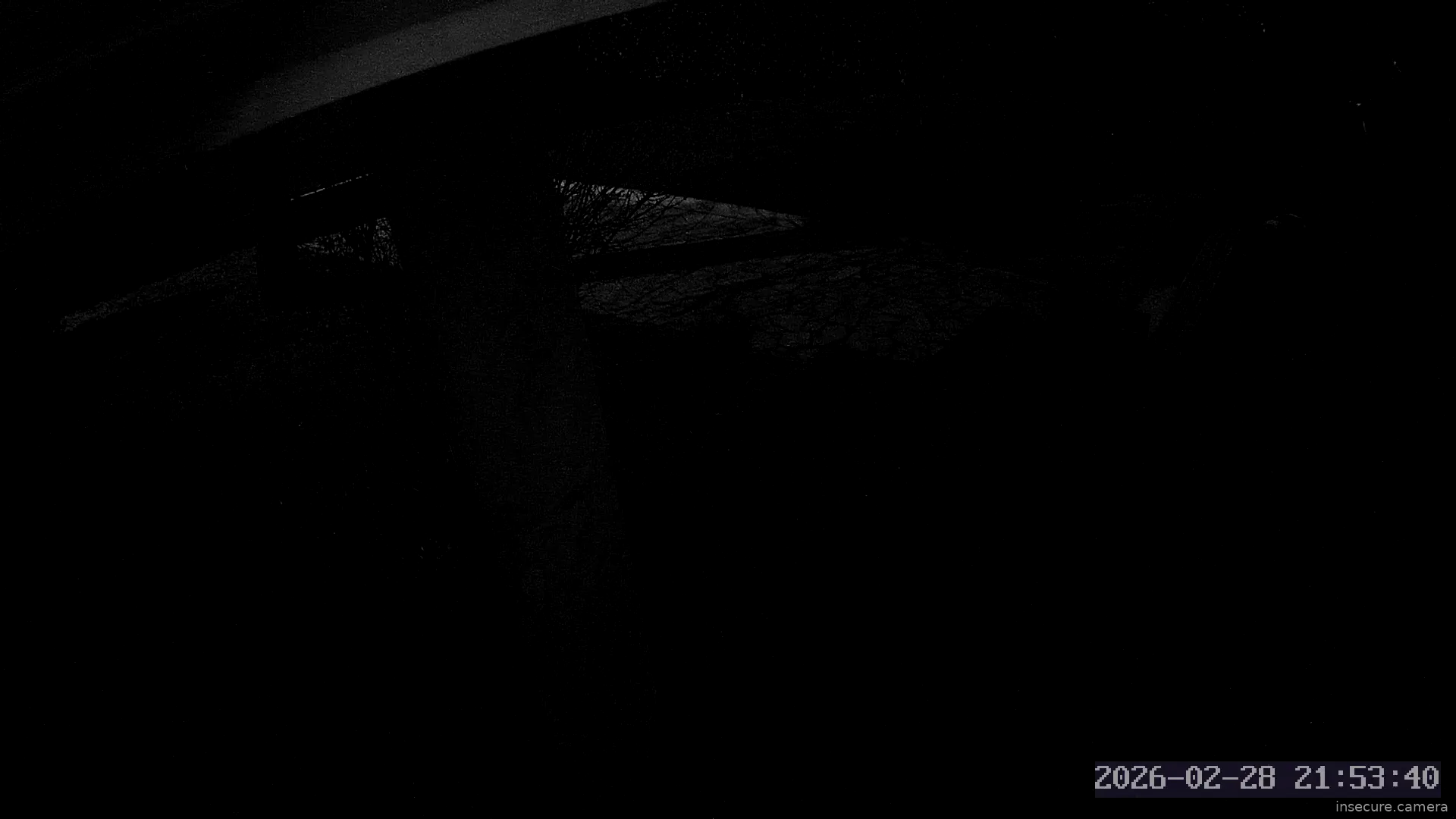 Capture from Feb 28, 2026 at 08:54 PM