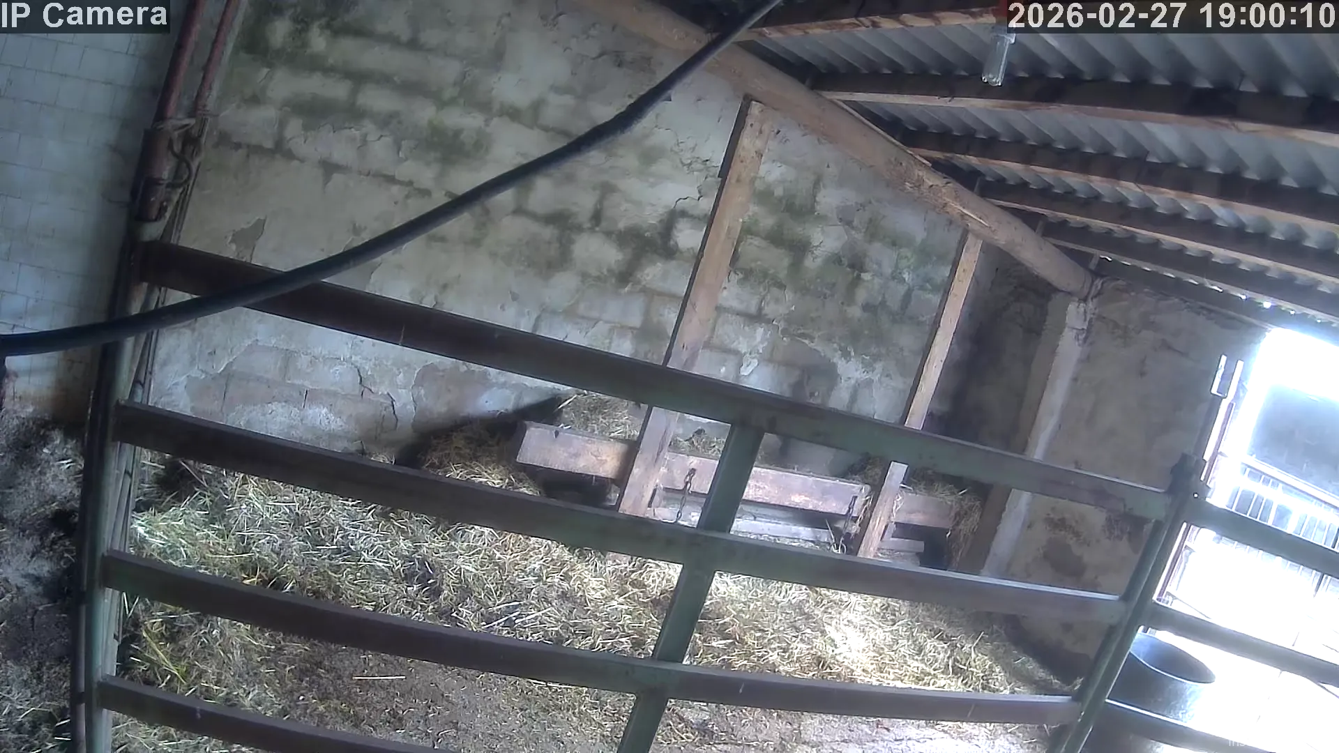 Capture from Feb 27, 2026 at 11:00 AM