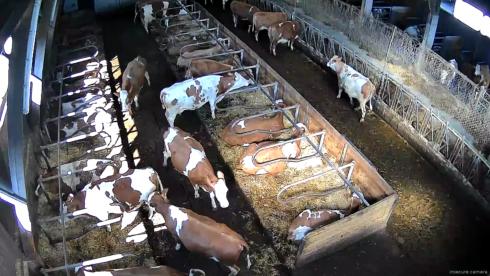 Capture from Mar 07, 2026 at 10:28 AM