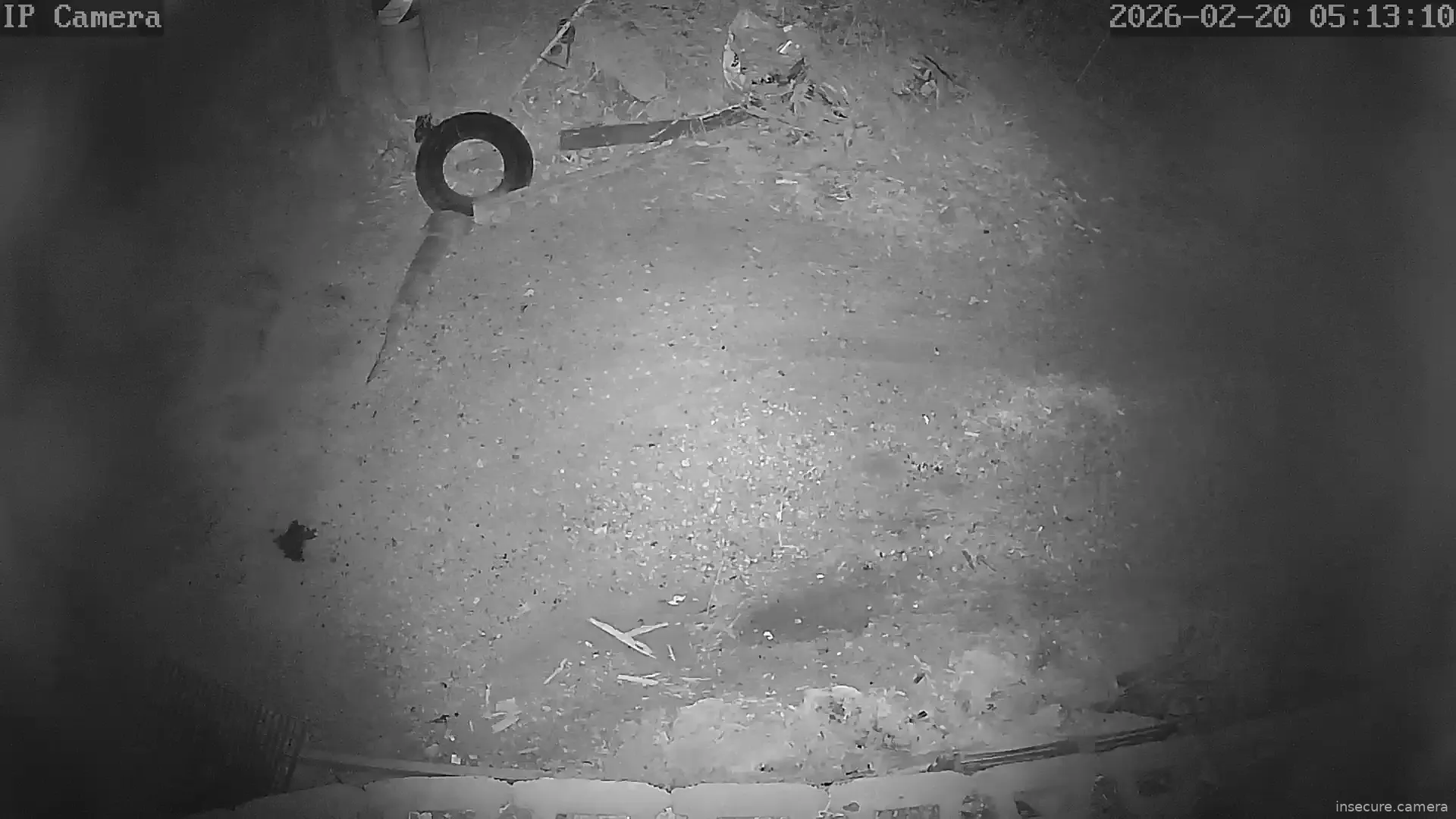 Capture from Feb 19, 2026 at 09:13 PM