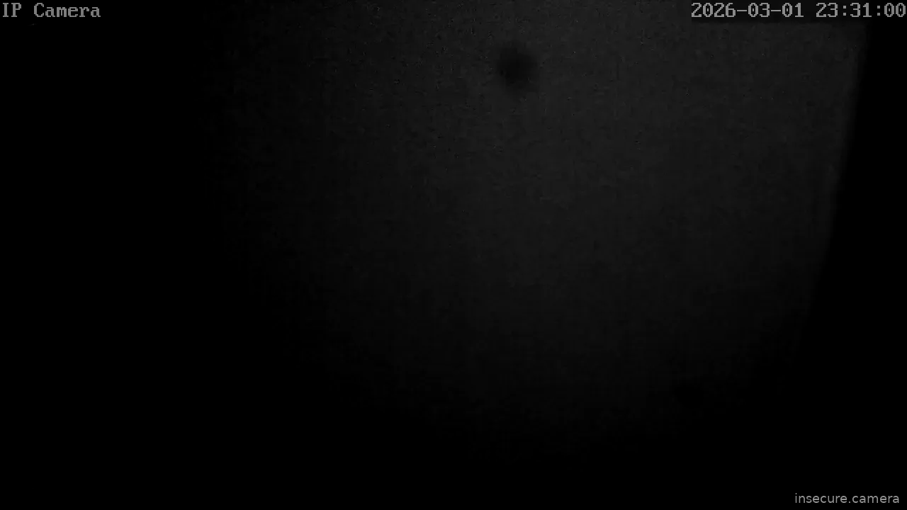 Capture from Mar 01, 2026 at 03:29 PM