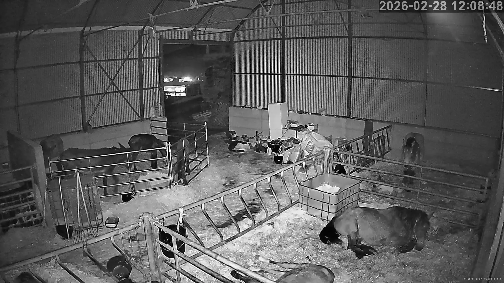 Capture from Feb 28, 2026 at 04:09 AM