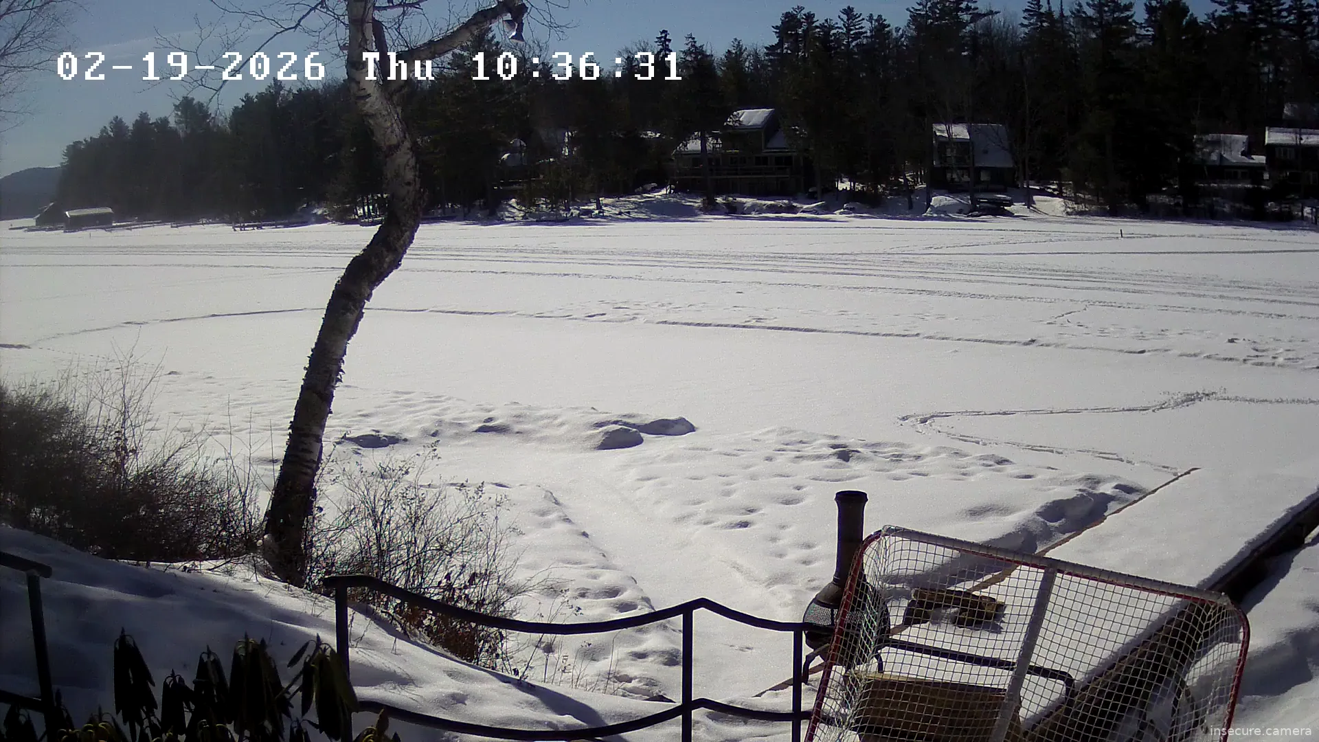 Capture from Feb 19, 2026 at 03:37 PM