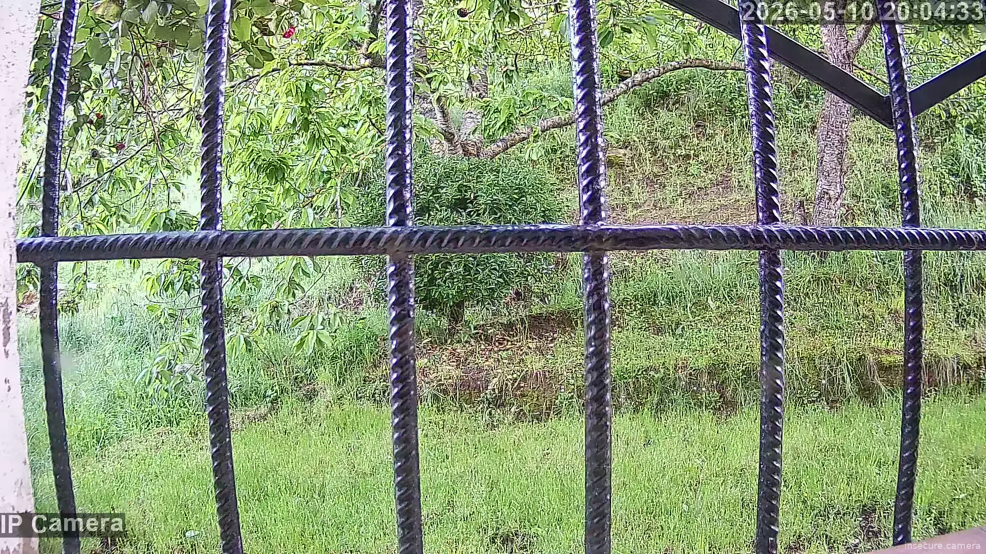 Camera in Spain