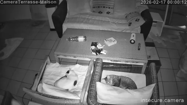 Camera in French Polynesia