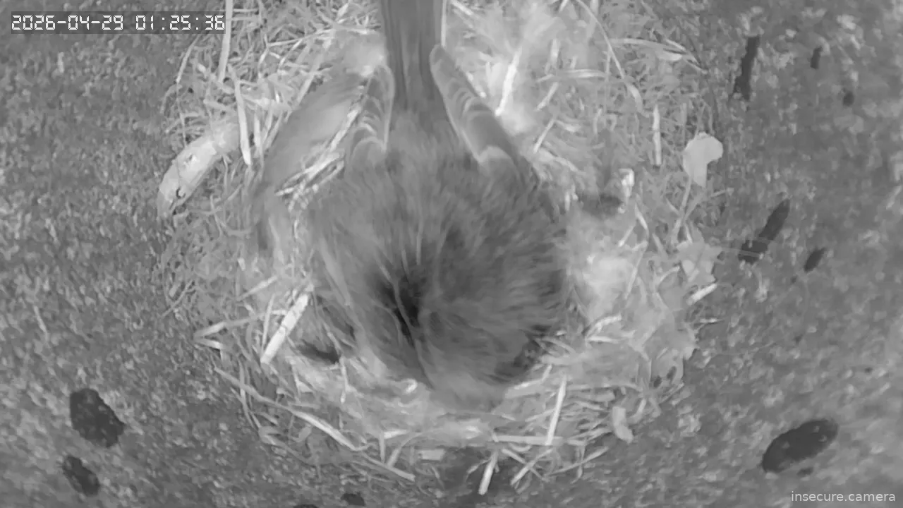 Capture from Apr 28, 2026 at 11:26 PM