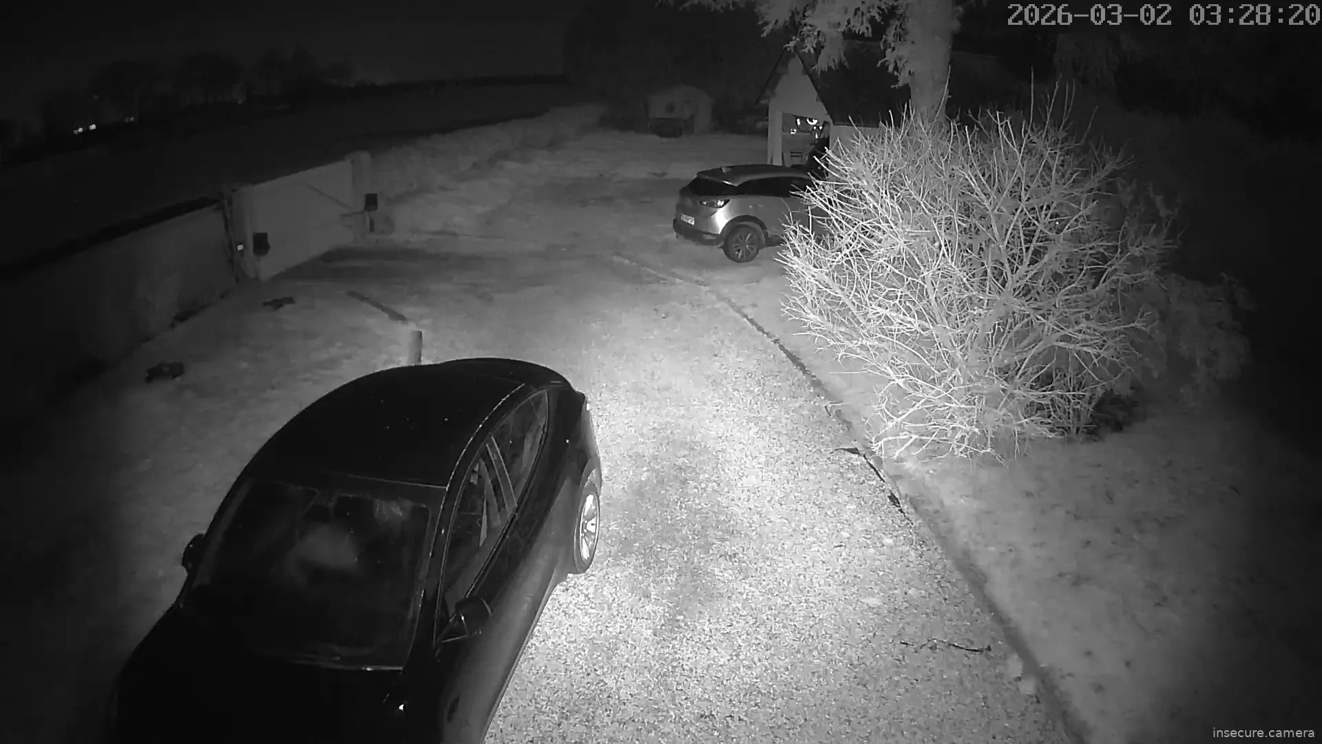 Capture from Mar 02, 2026 at 02:28 AM