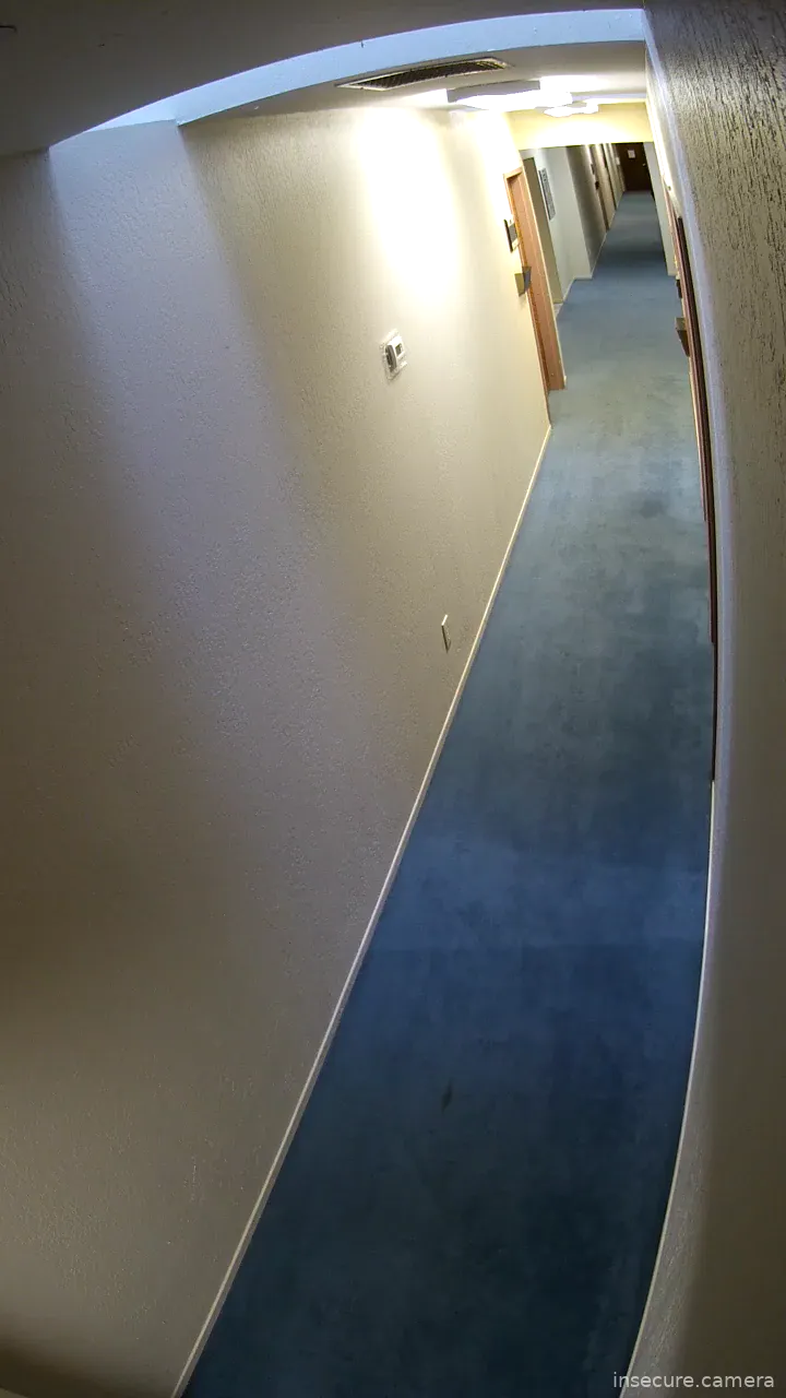 Capture from Mar 12, 2026 at 12:37 AM