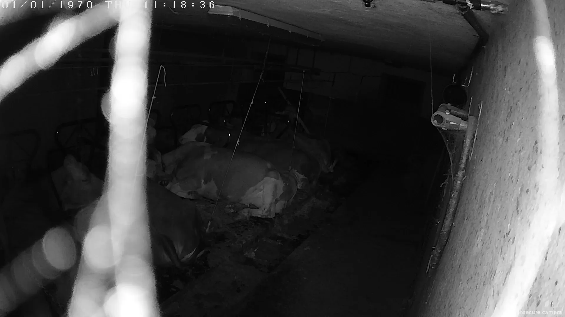 Capture from Mar 16, 2026 at 10:57 PM