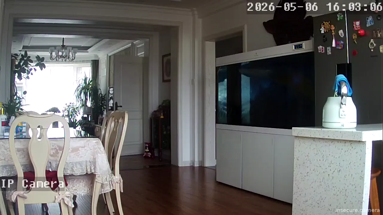 Camera in China