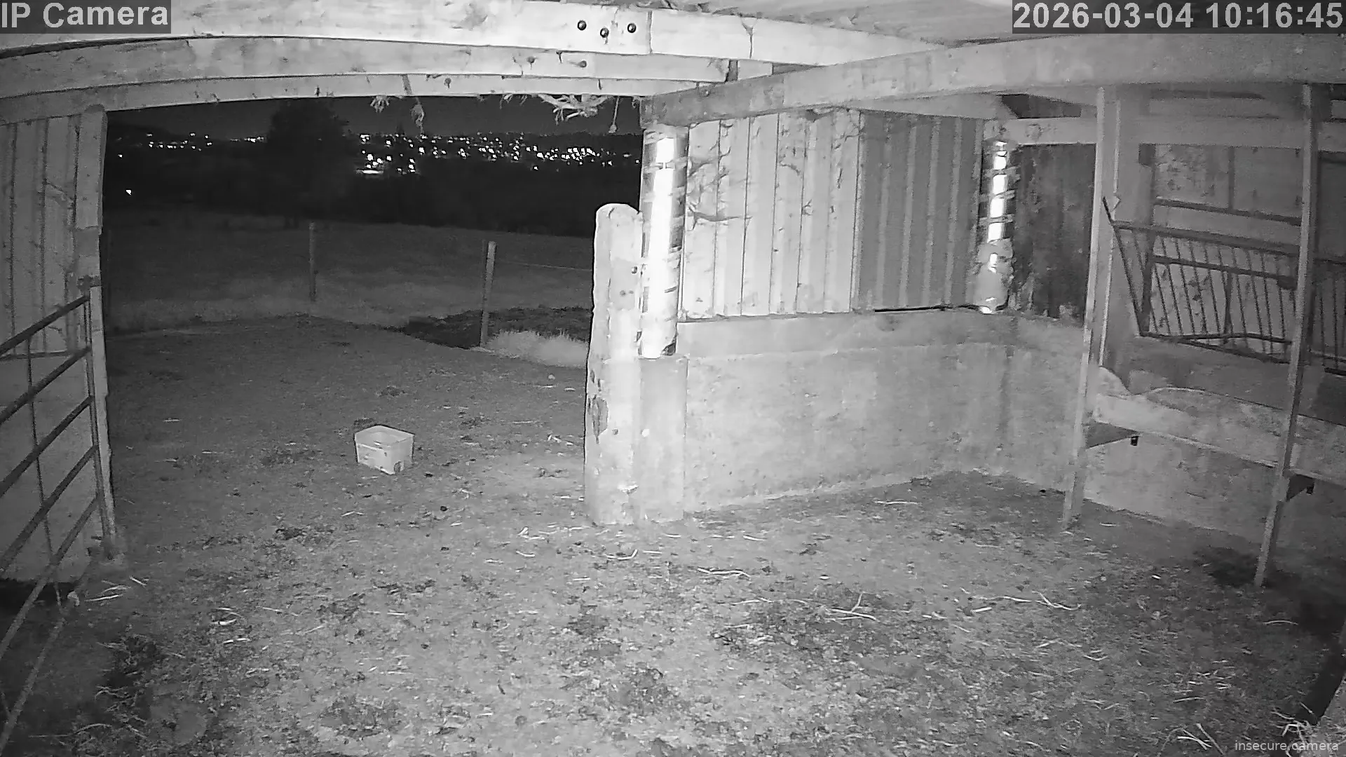 Capture from Mar 04, 2026 at 02:17 AM