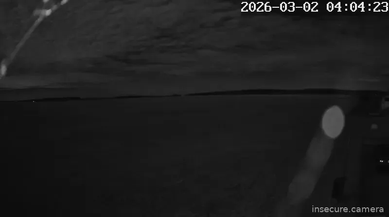 Capture from Mar 02, 2026 at 02:04 AM