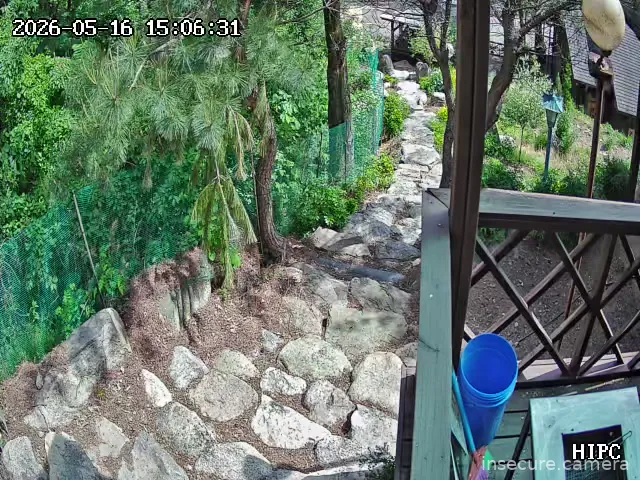 Camera in South Korea