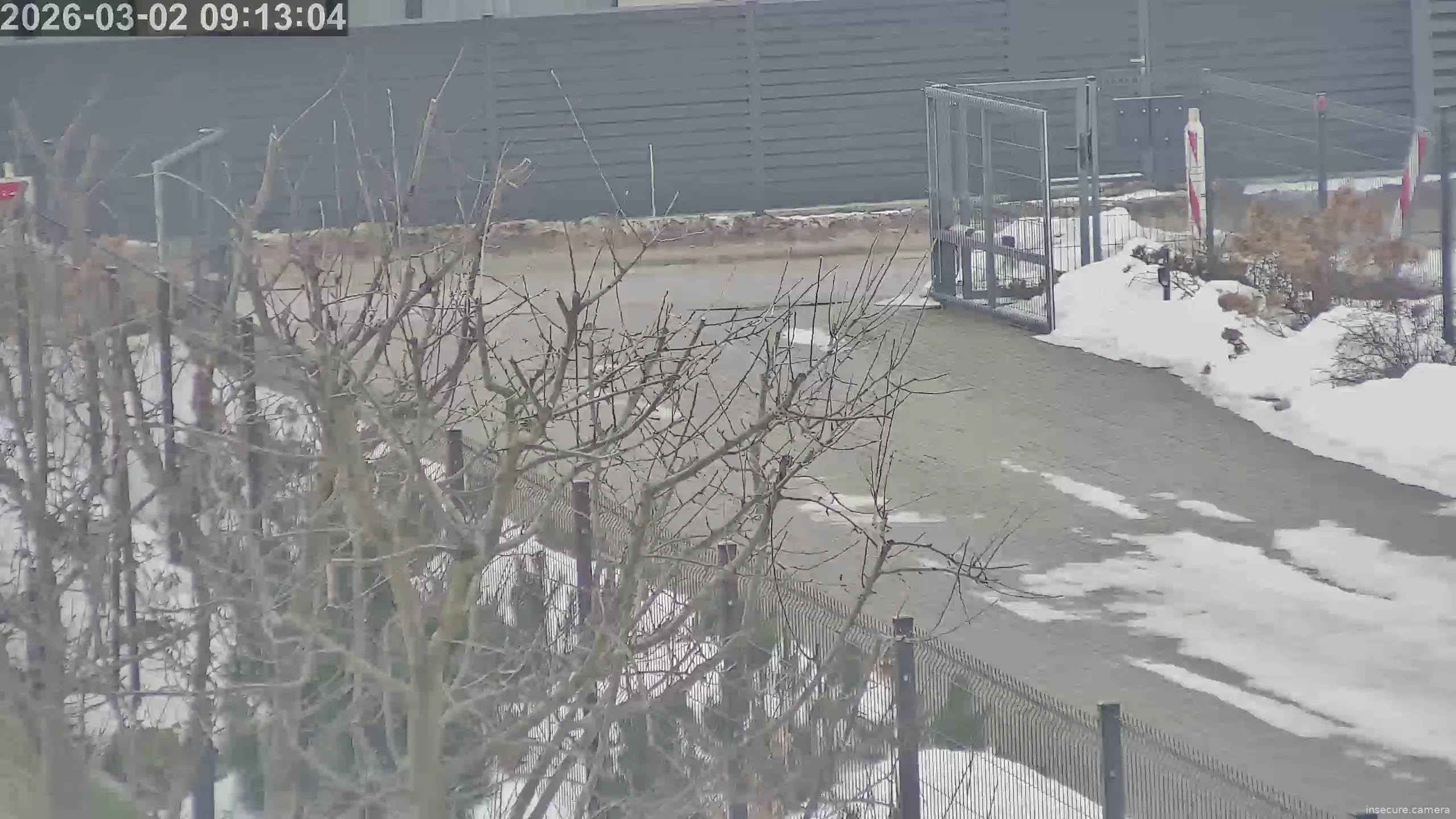 Capture from Mar 02, 2026 at 07:13 AM