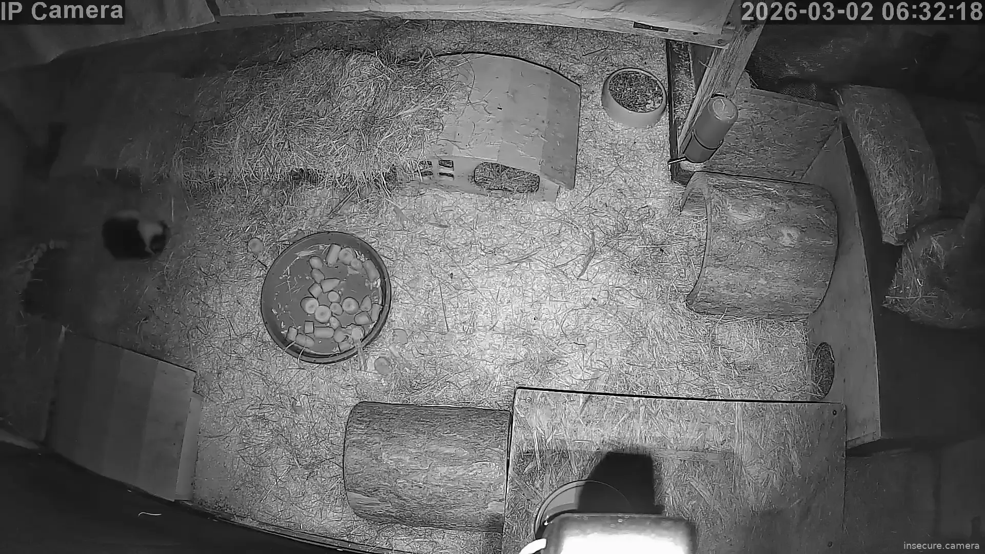 Capture from Mar 01, 2026 at 10:32 PM