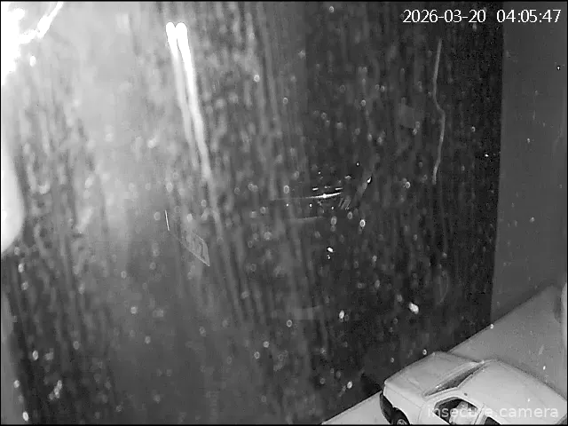 Capture from Mar 20, 2026 at 03:06 AM