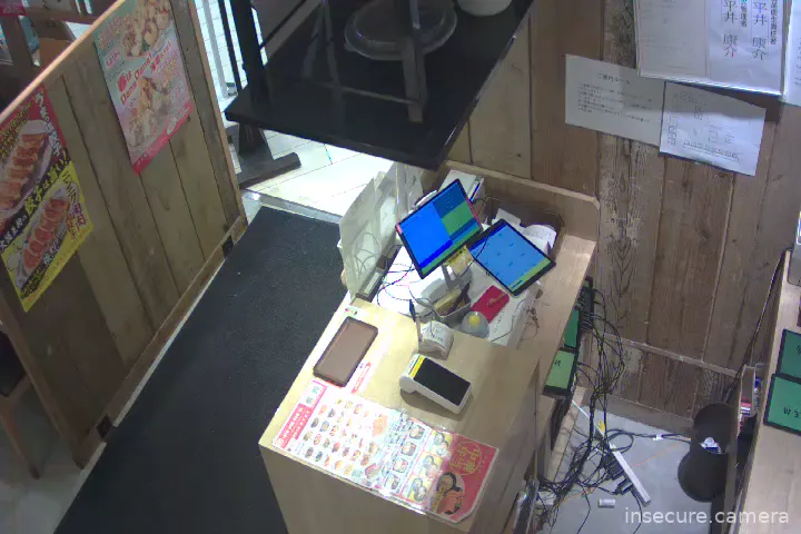 Camera in Japan