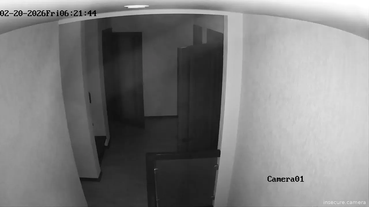 Camera in Russia