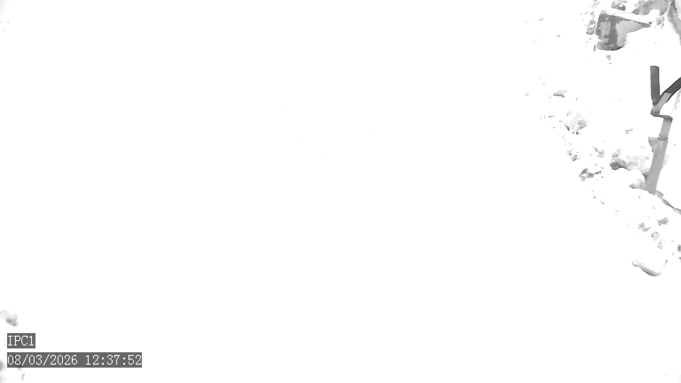 Capture from Mar 08, 2026 at 05:38 AM