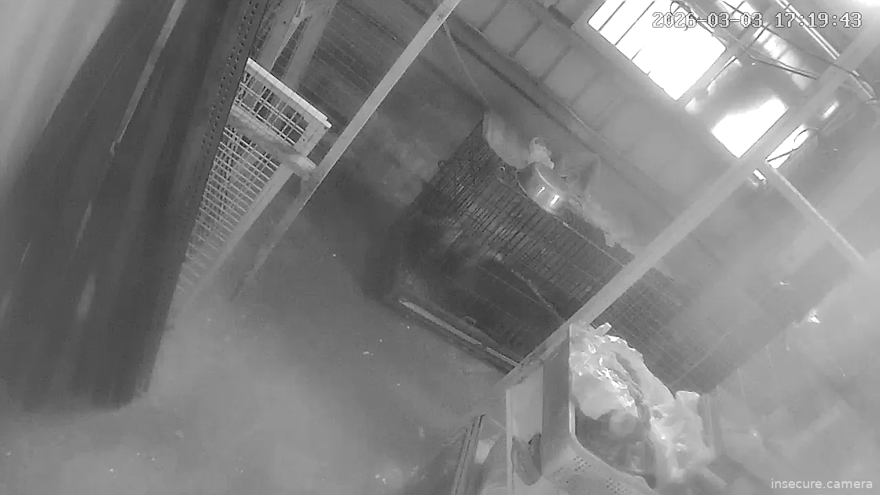 Capture from Mar 03, 2026 at 09:19 AM