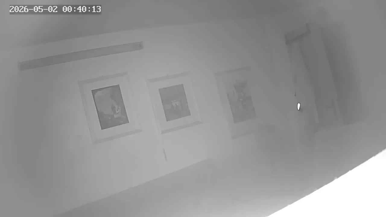 Camera in Bulgaria