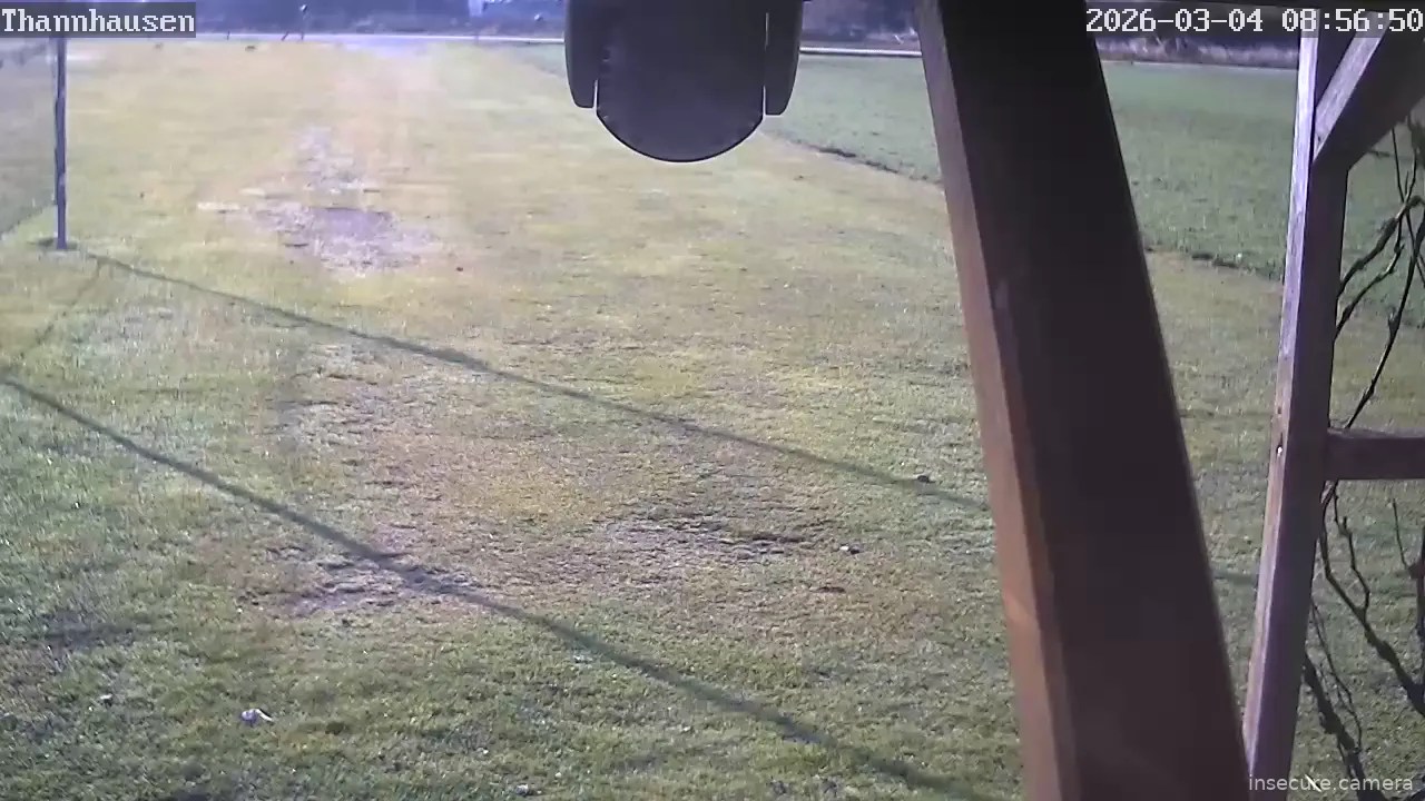 Capture from Mar 04, 2026 at 07:57 AM