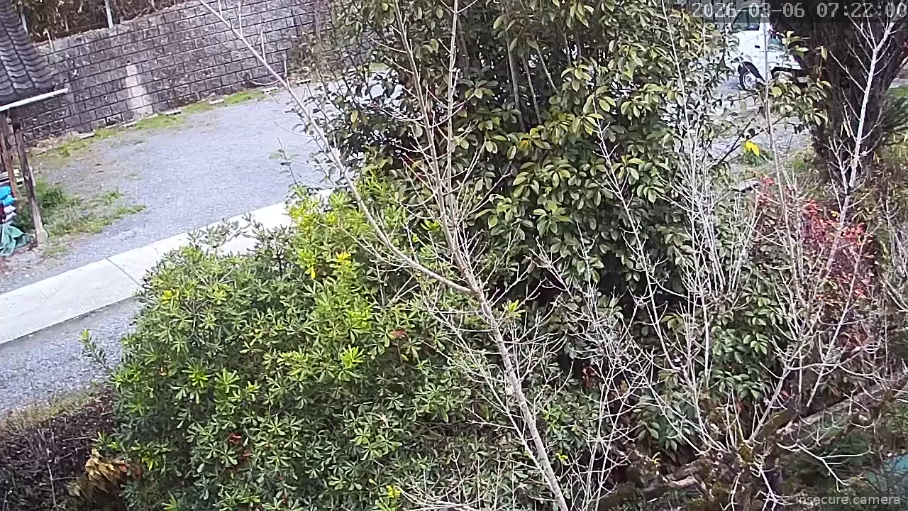 Capture from Mar 05, 2026 at 11:22 PM