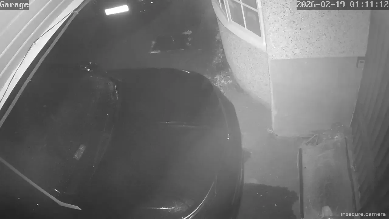 Capture from Feb 19, 2026 at 01:11 AM