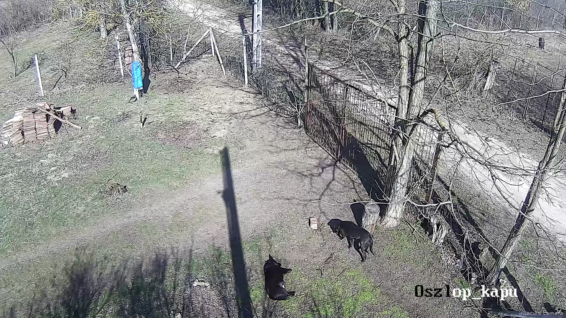 Capture from Feb 27, 2026 at 09:50 AM