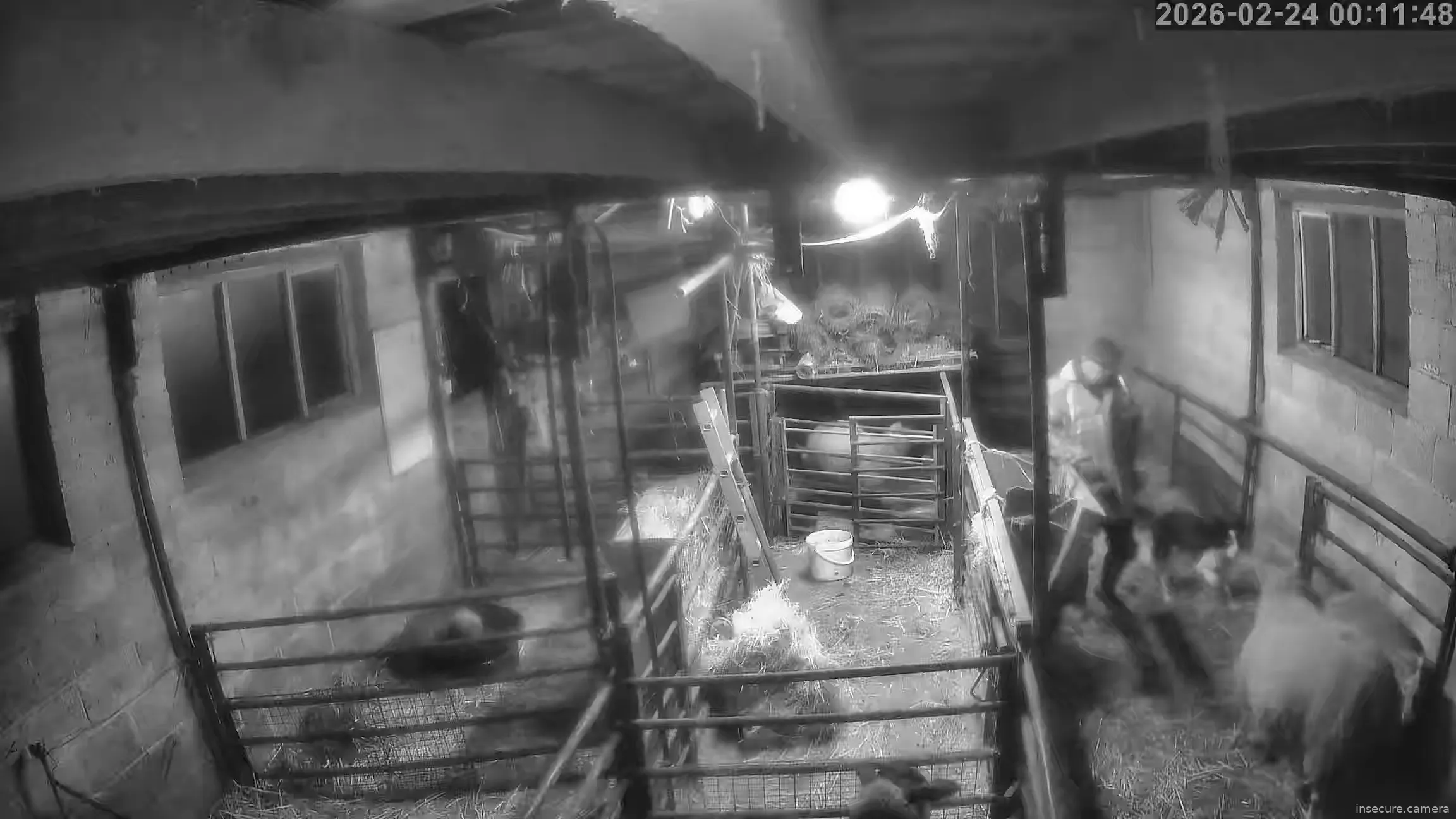 Capture from Feb 24, 2026 at 12:12 AM