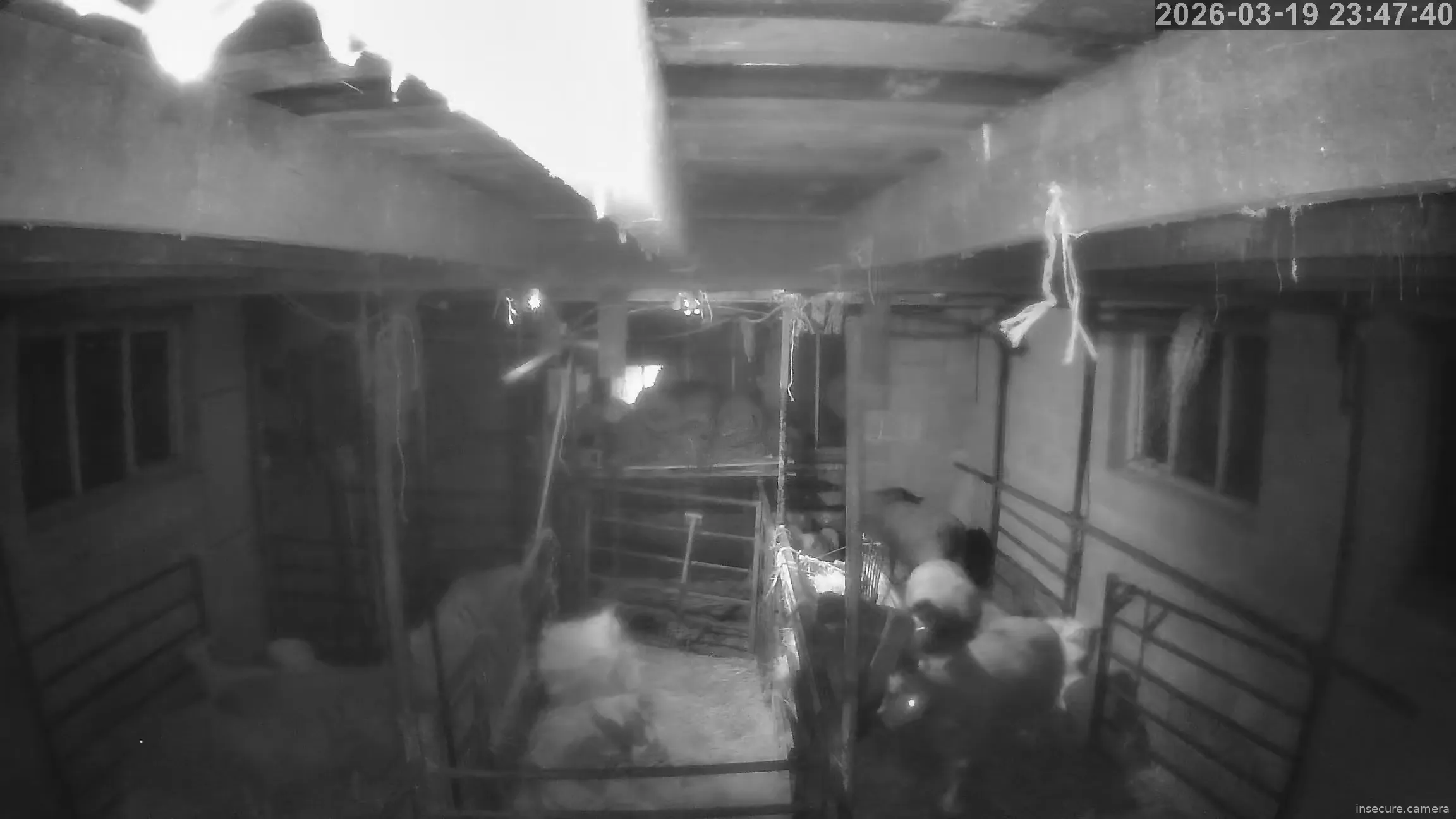 Capture from Mar 19, 2026 at 11:47 PM