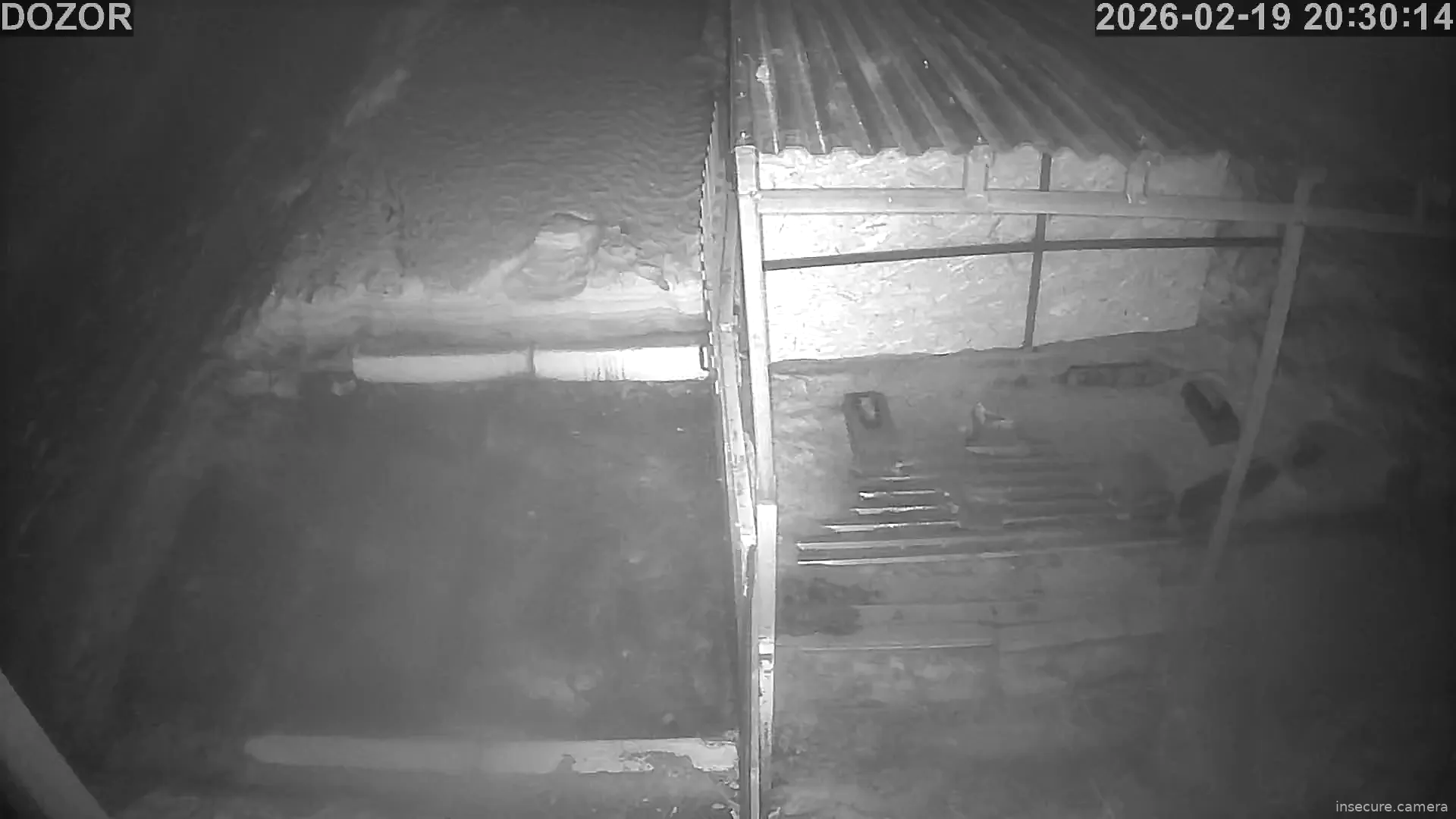 Capture from Feb 19, 2026 at 01:31 PM