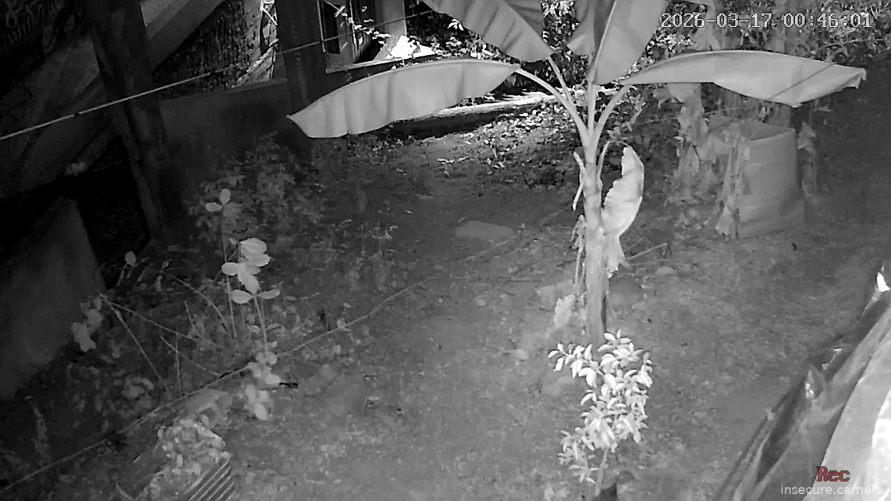 Capture from Mar 17, 2026 at 06:46 AM