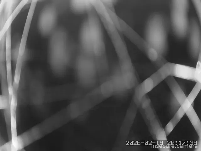 Capture from Feb 19, 2026 at 12:19 PM