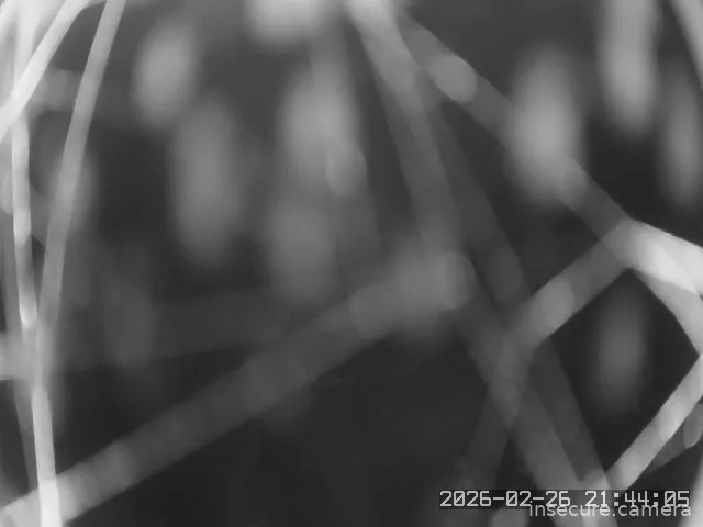 Capture from Feb 26, 2026 at 01:45 PM