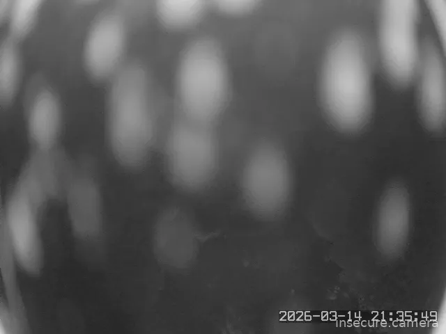 Capture from Mar 14, 2026 at 01:36 PM