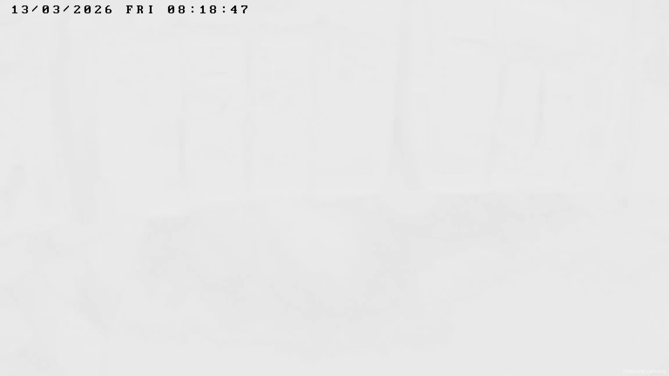 Capture from Mar 13, 2026 at 02:56 AM