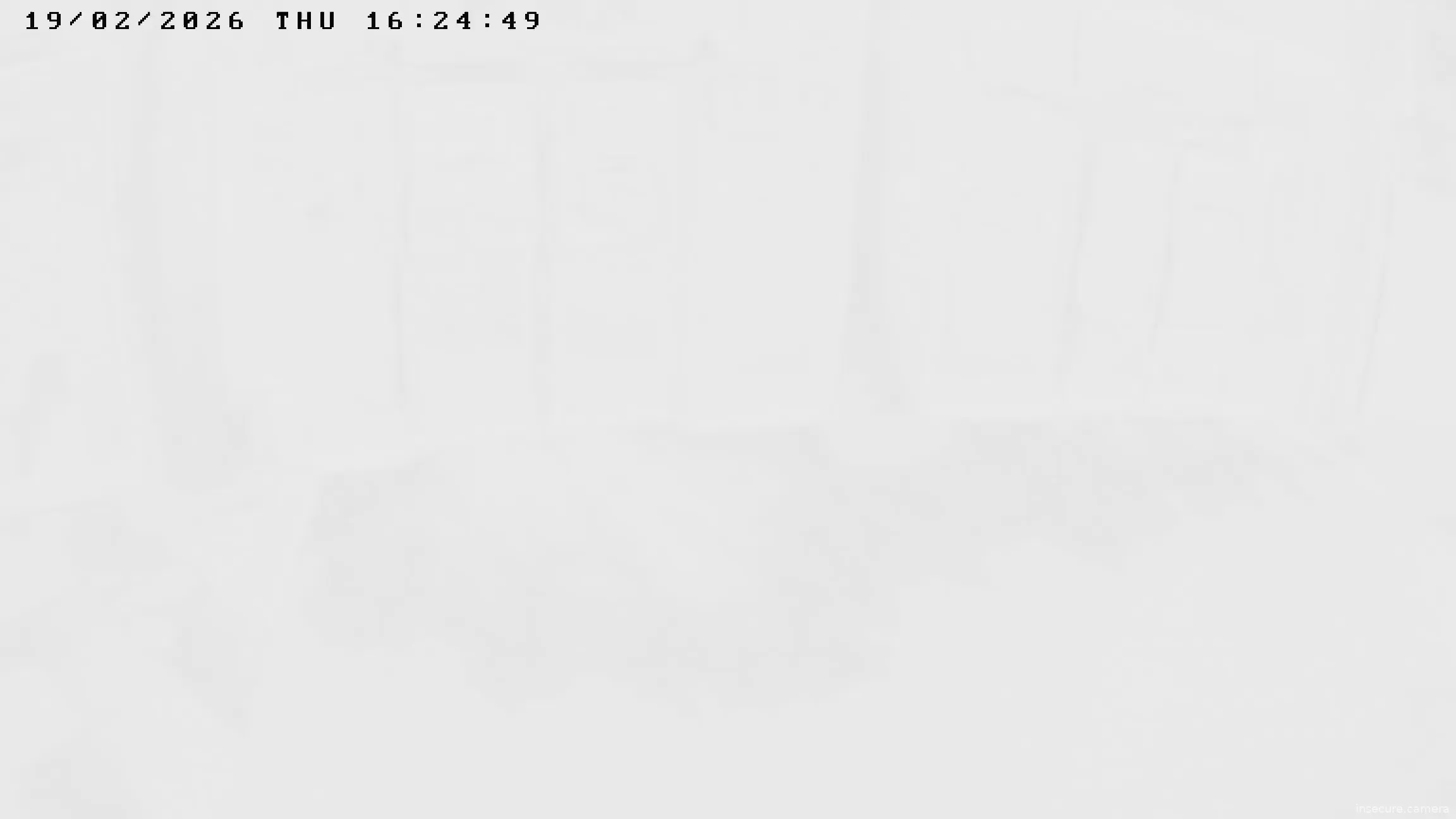 Capture from Feb 19, 2026 at 11:03 AM