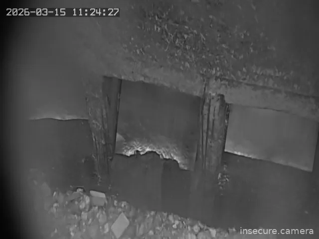 Capture from Mar 15, 2026 at 03:24 AM