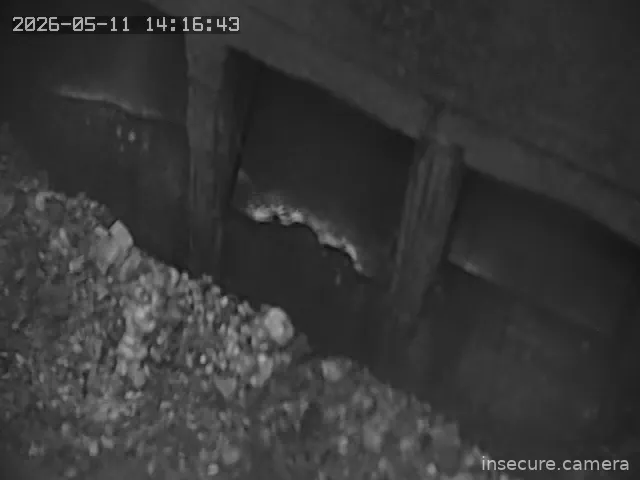 Capture from May 11, 2026 at 06:17 AM