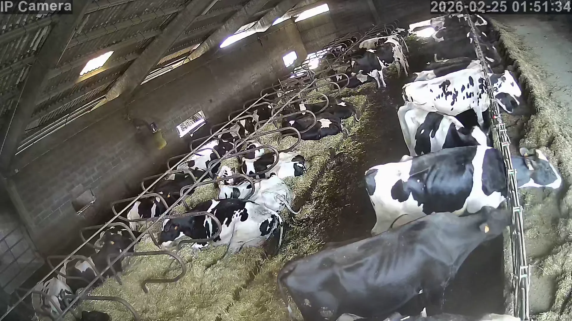 Capture from Feb 24, 2026 at 05:51 PM