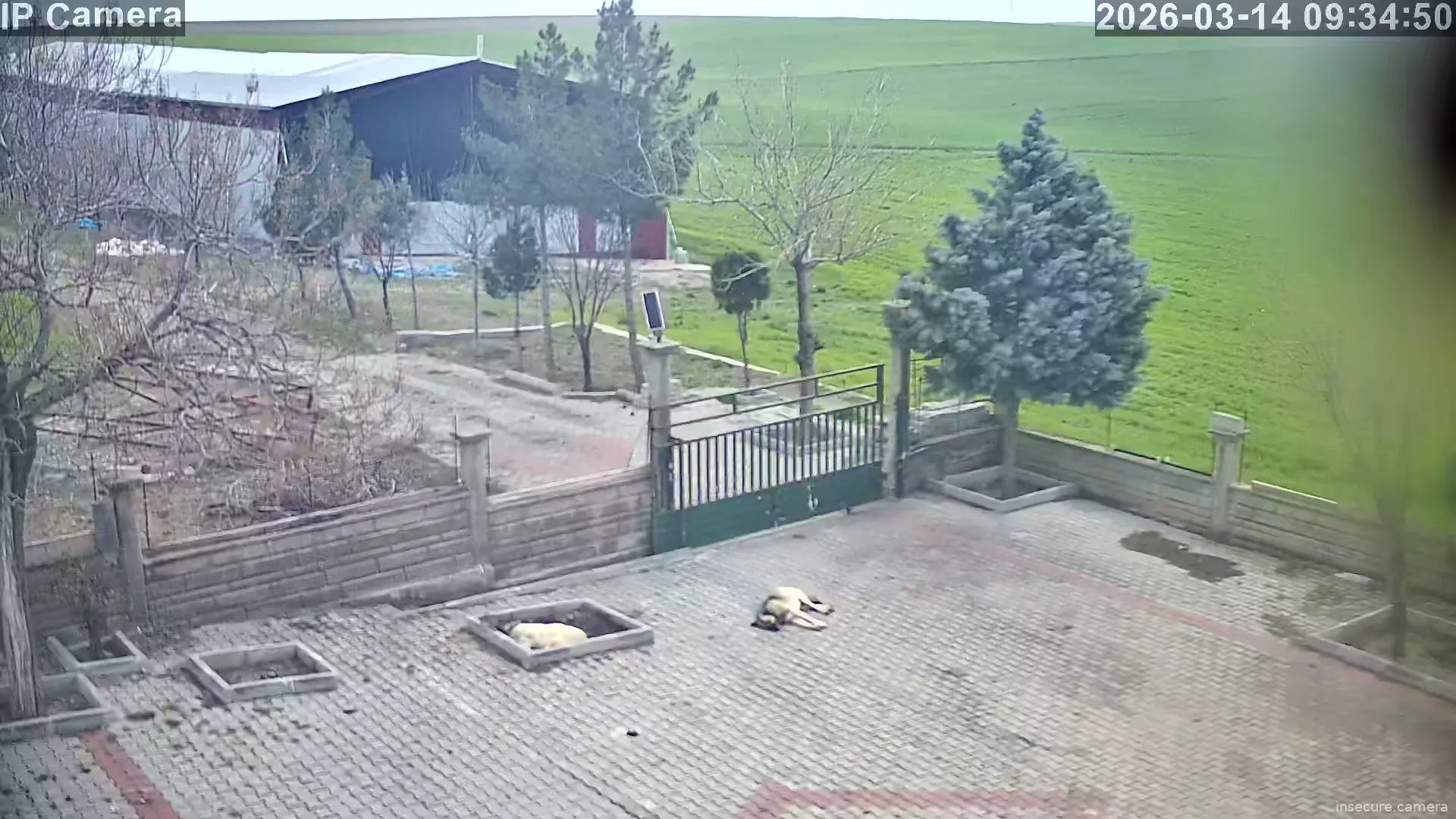 Capture from Mar 14, 2026 at 06:35 AM