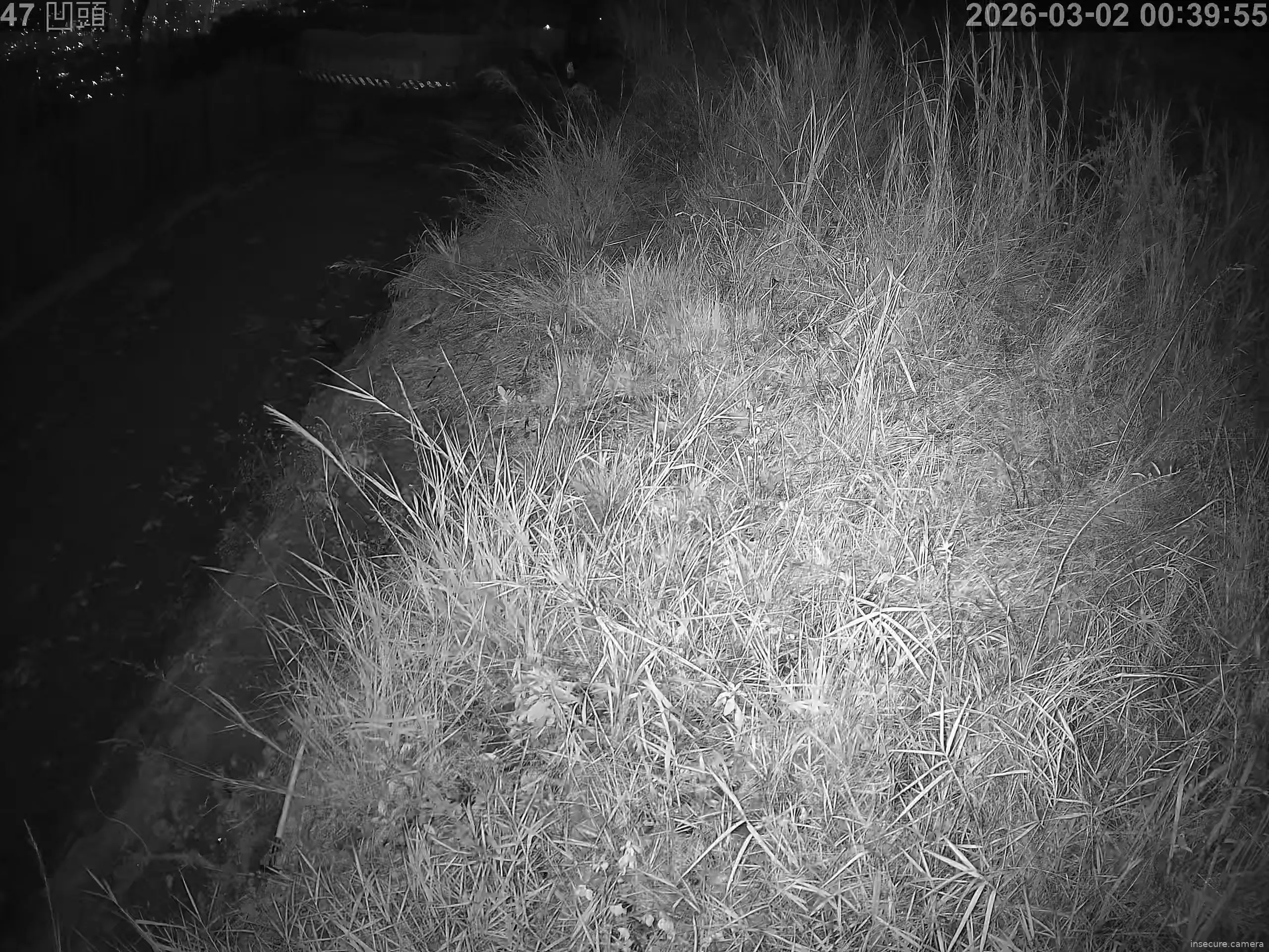 Capture from Mar 01, 2026 at 04:40 PM