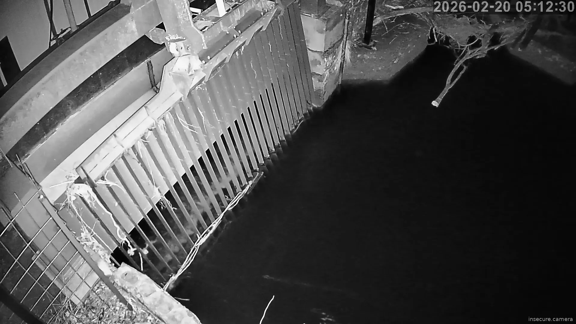 Capture from Feb 20, 2026 at 04:12 AM