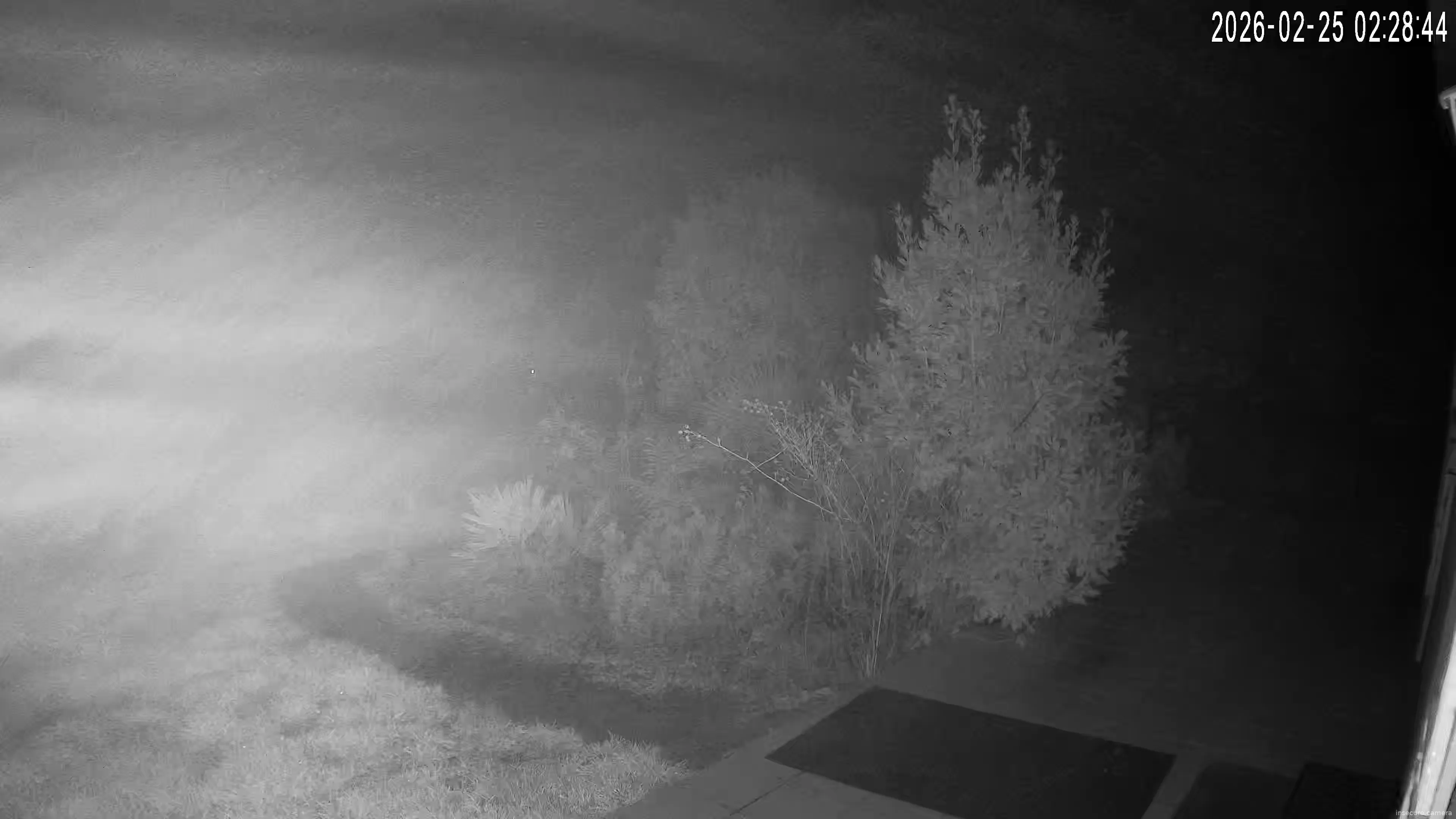 Capture from Feb 25, 2026 at 01:29 AM