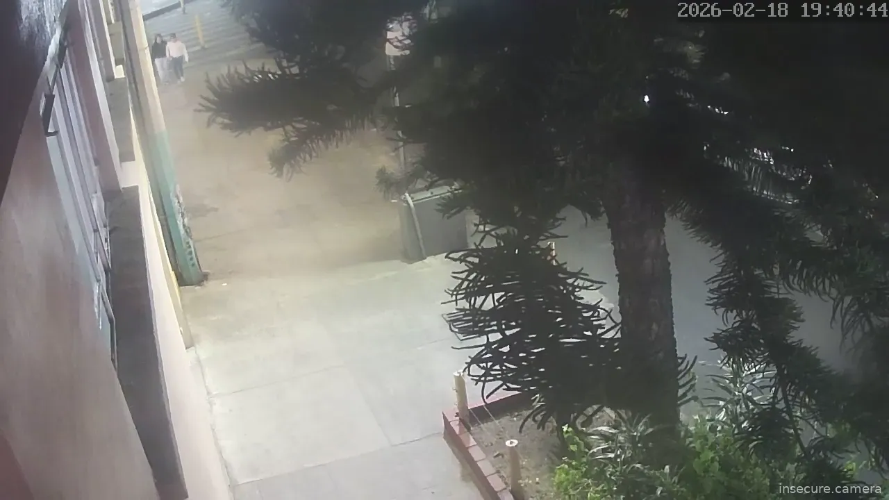 Capture from Feb 19, 2026 at 01:41 AM