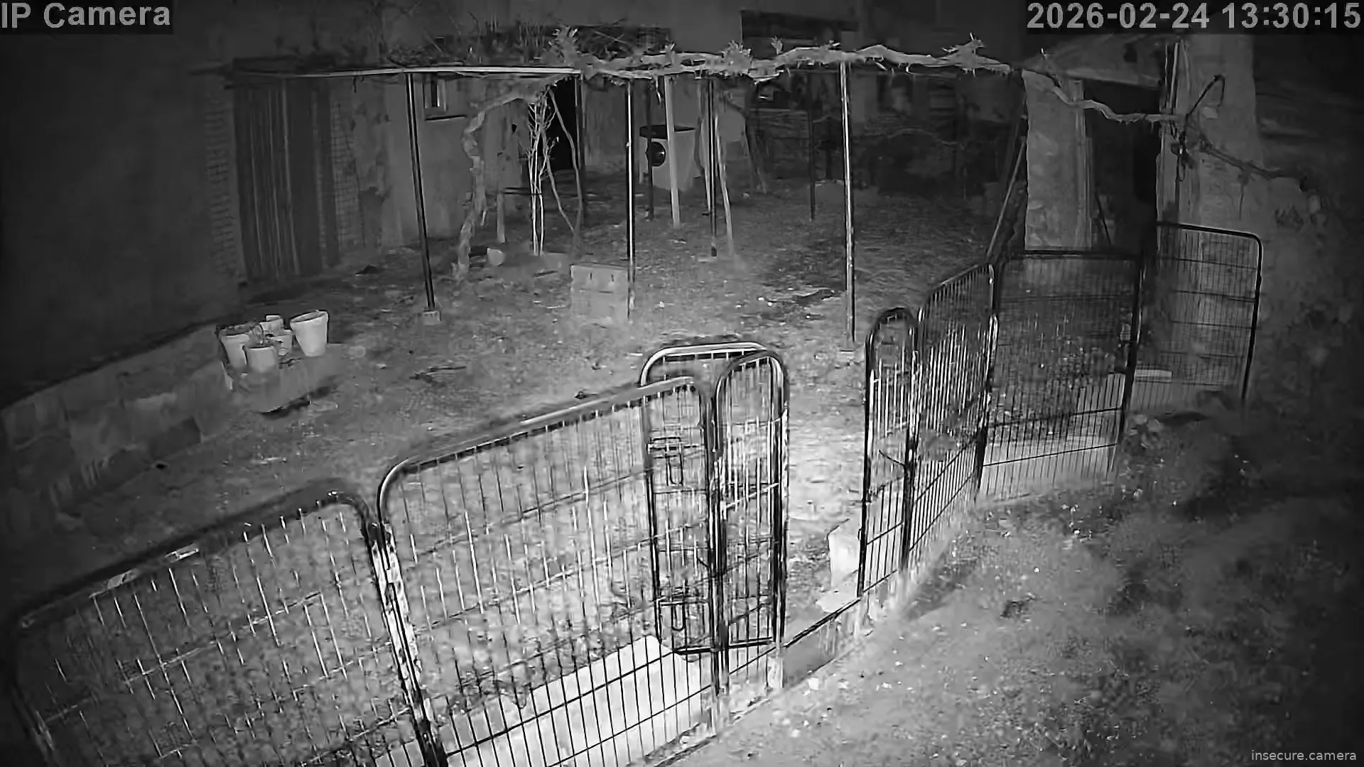 Capture from Feb 24, 2026 at 05:30 AM