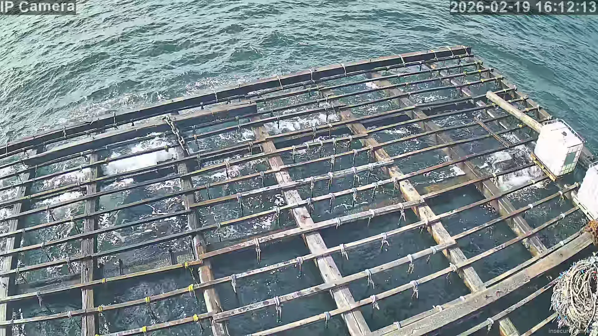 Capture from Feb 19, 2026 at 03:12 PM