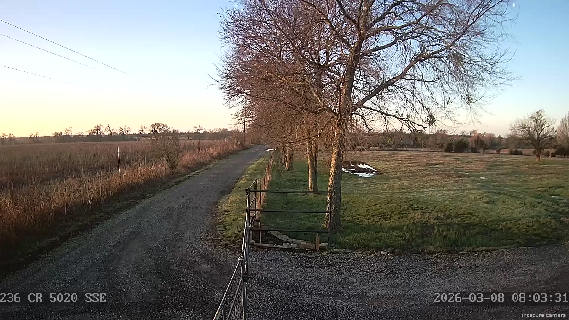 Camera in United States